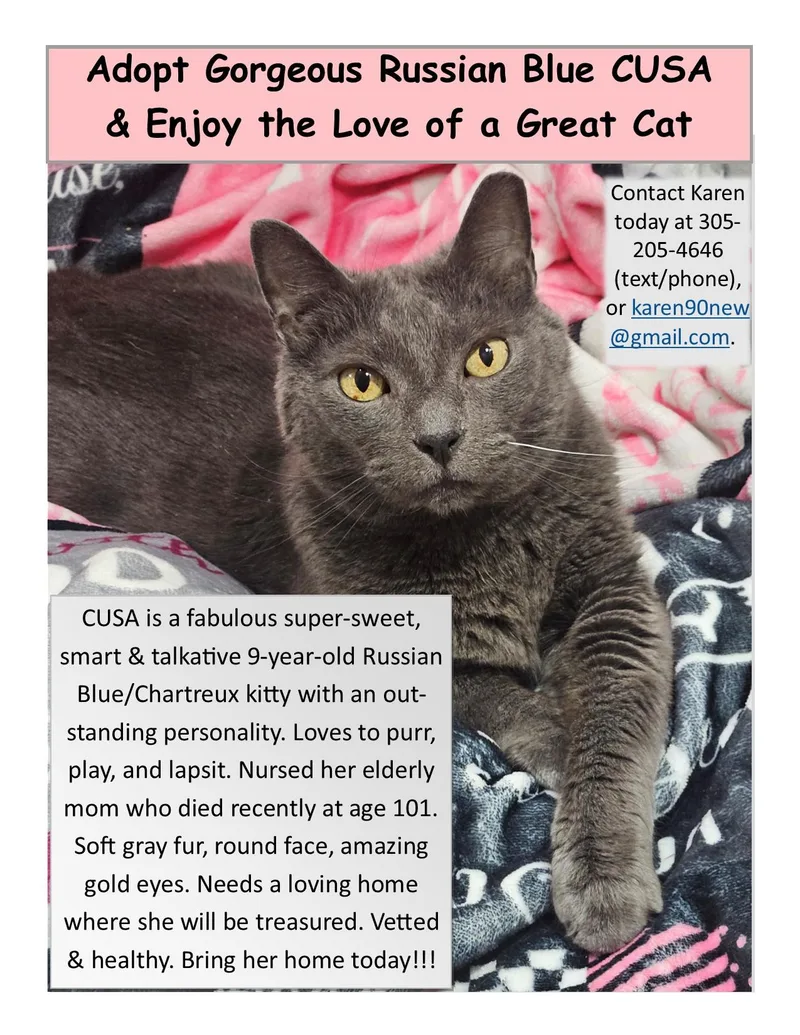 Cusa thumbnail 2