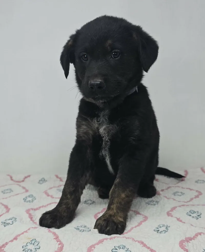 Beacon Hill thumbnail 3