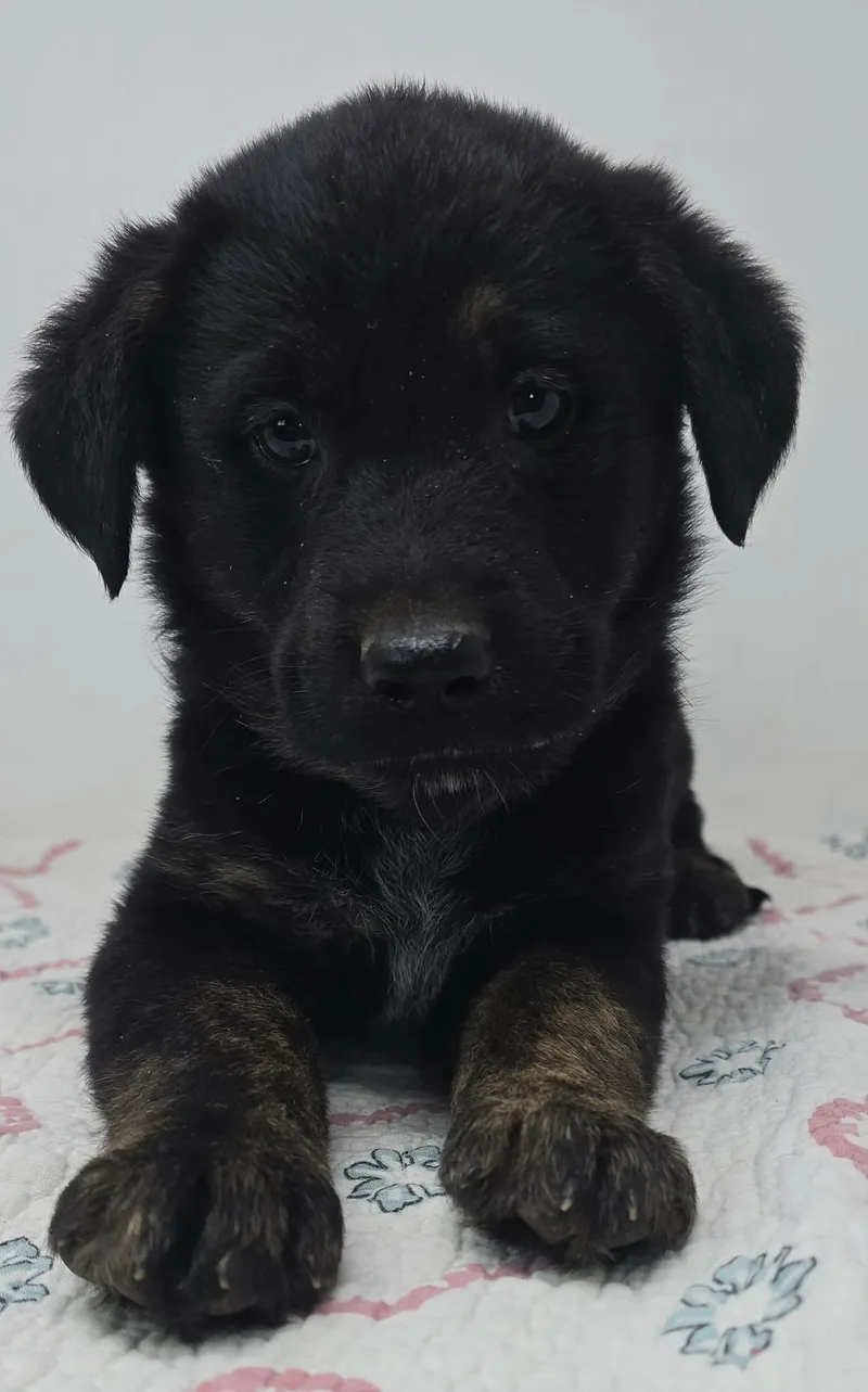 Beacon Hill thumbnail 4