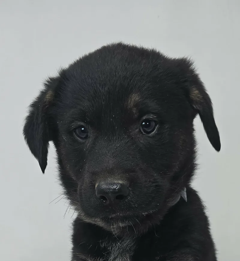 Beacon Hill thumbnail 5