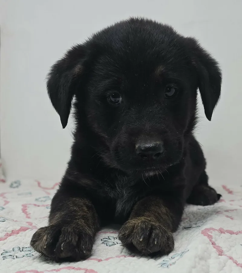 Beacon Hill thumbnail 6