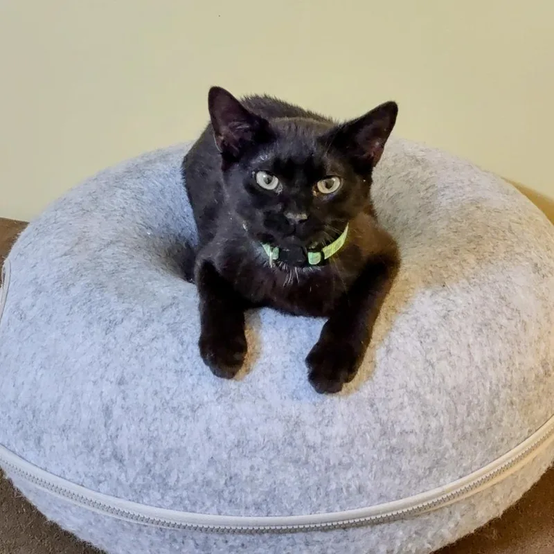 W&m: Walter Hobbs thumbnail 4