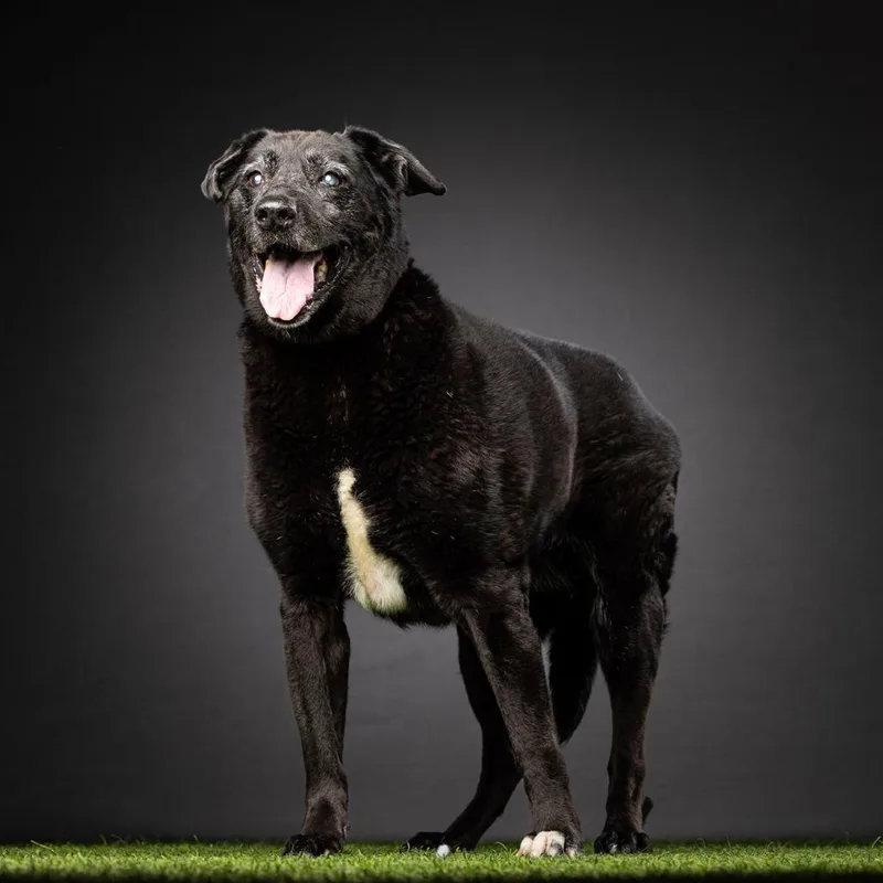 Veronica thumbnail 6