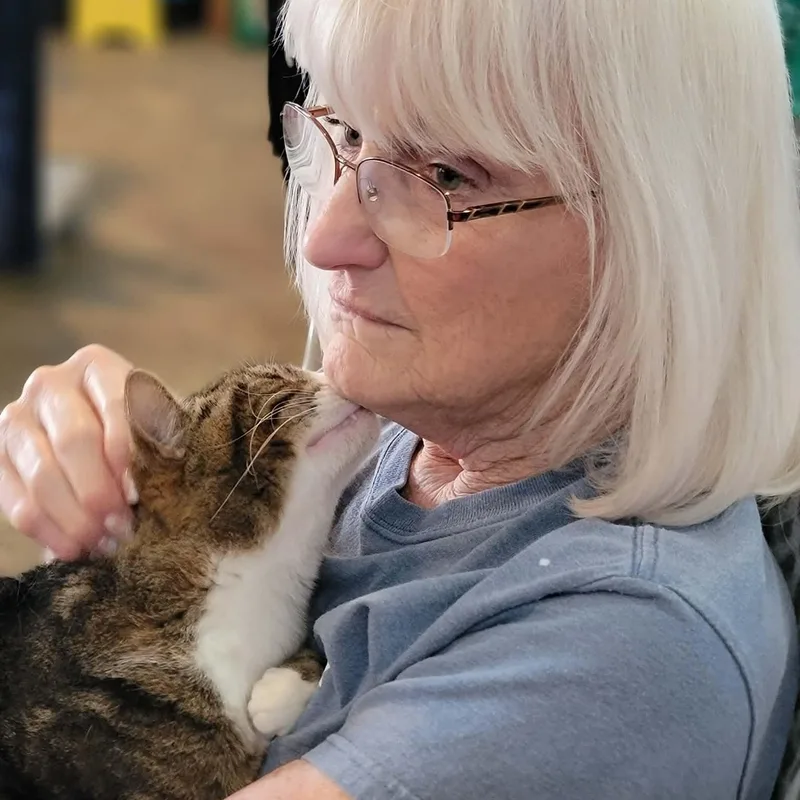 Sterling thumbnail 2