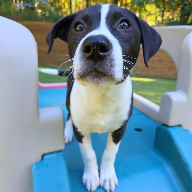 Darla thumbnail 3