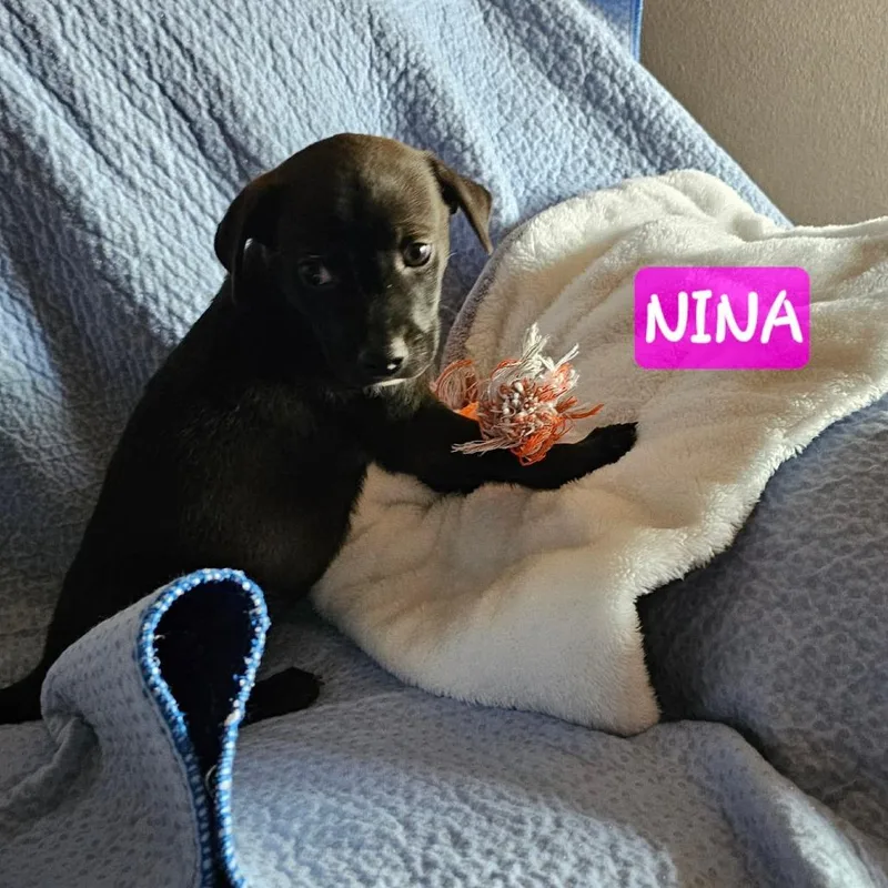 Nina thumbnail 2