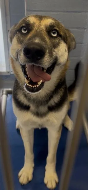 Luna