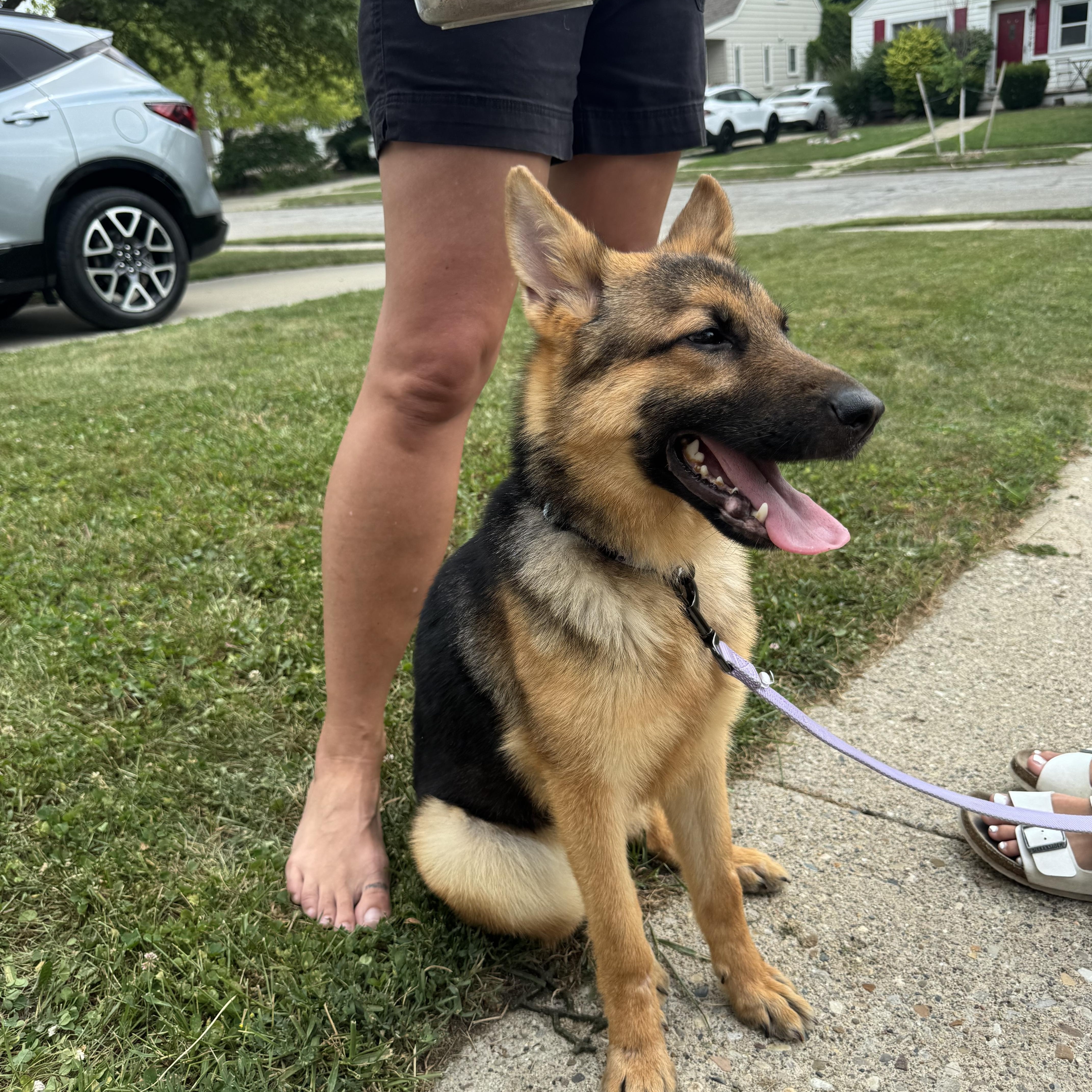 Maggie