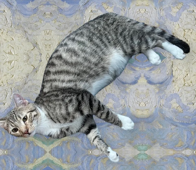 Arlis Indoor Only thumbnail 2