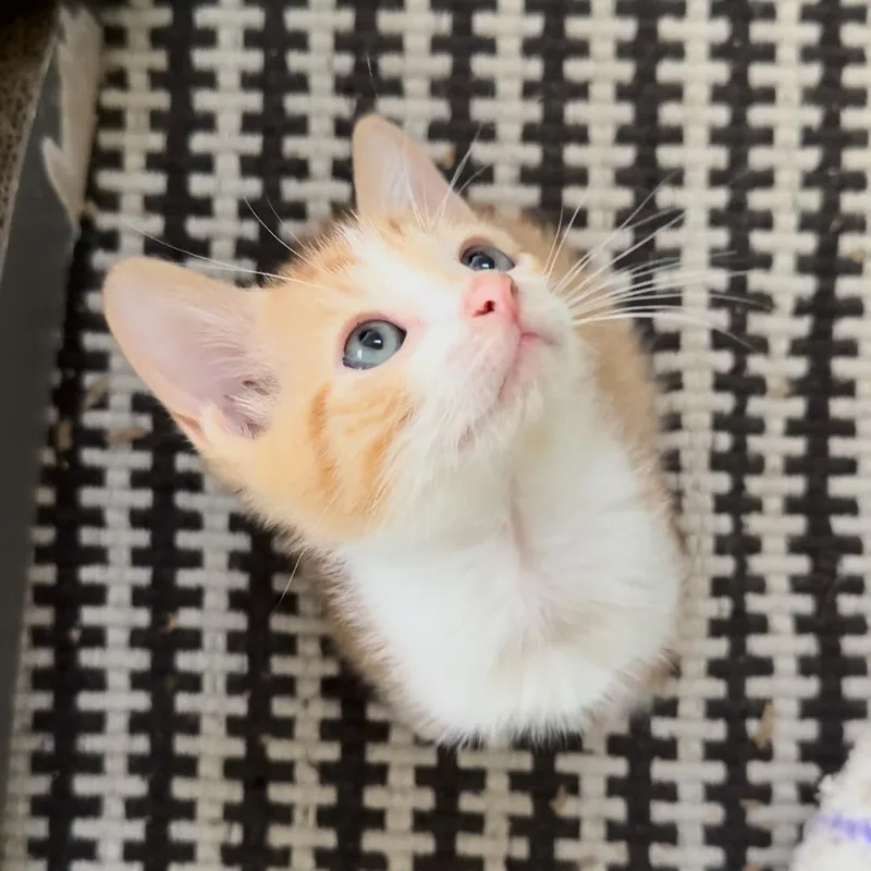 Norman And Sissy thumbnail 2