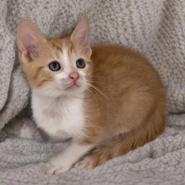 Norman And Sissy thumbnail 4