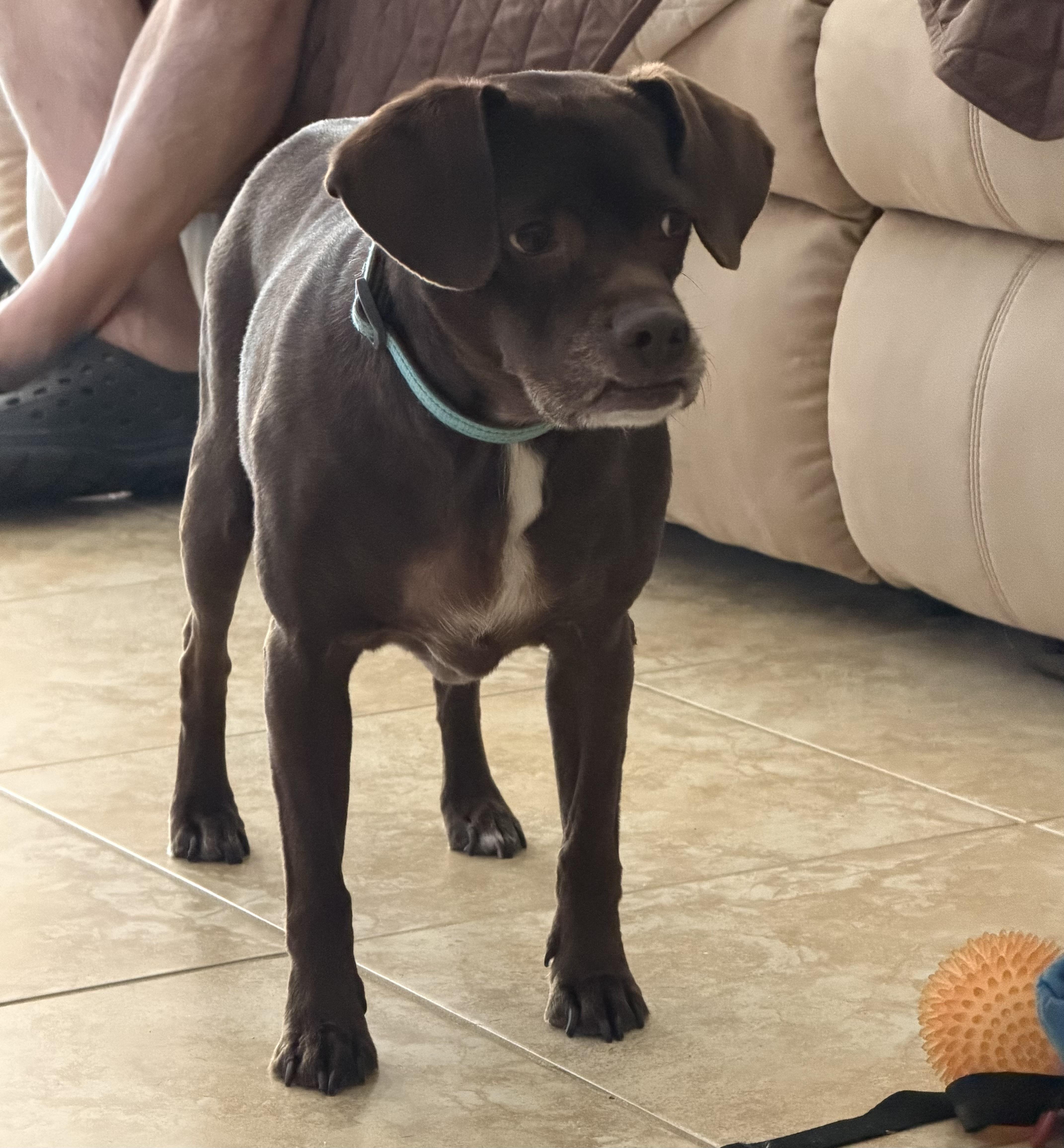 Duke