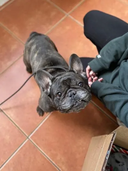 Skywalker thumbnail 2