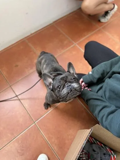 Skywalker thumbnail 3