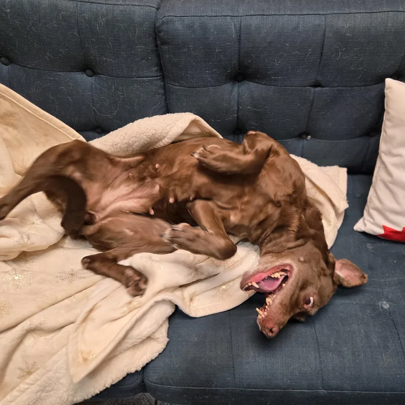 Mamaw Betty thumbnail 2