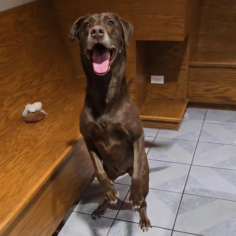 Mamaw Betty thumbnail 3