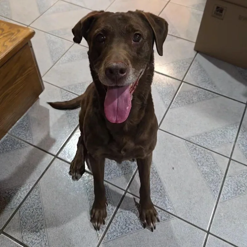 Mamaw Betty thumbnail 4