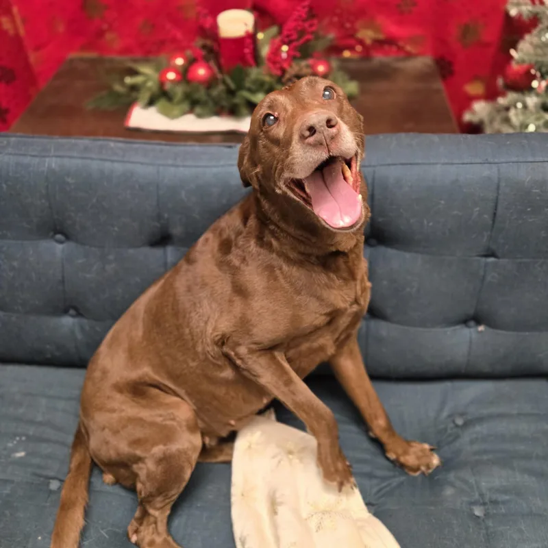 Mamaw Betty thumbnail 5