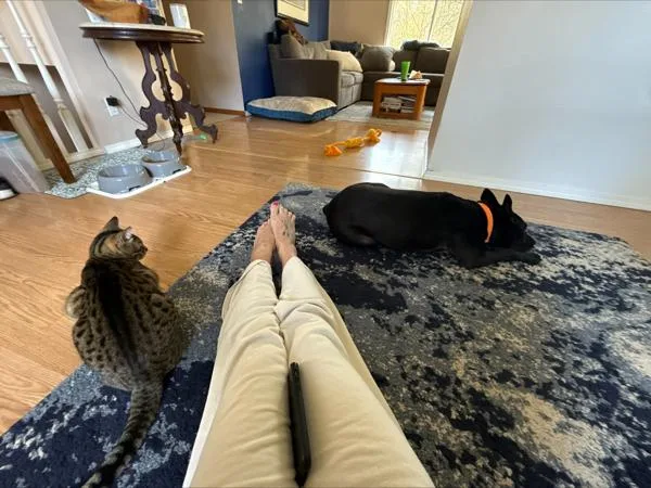 Pumpkin Pie thumbnail 2