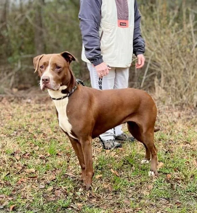 Pebbles Monroe thumbnail 2