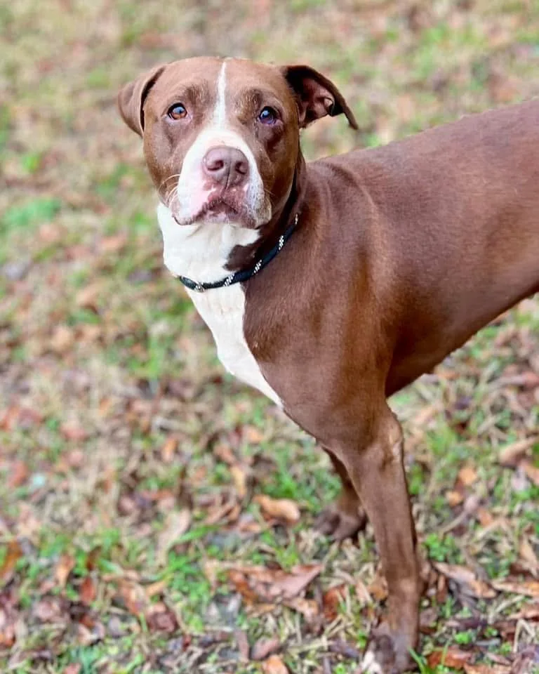 Pebbles Monroe thumbnail 3