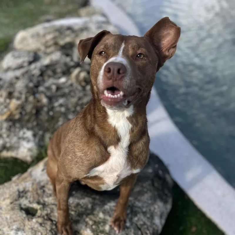 Kash Aka Angel thumbnail 4