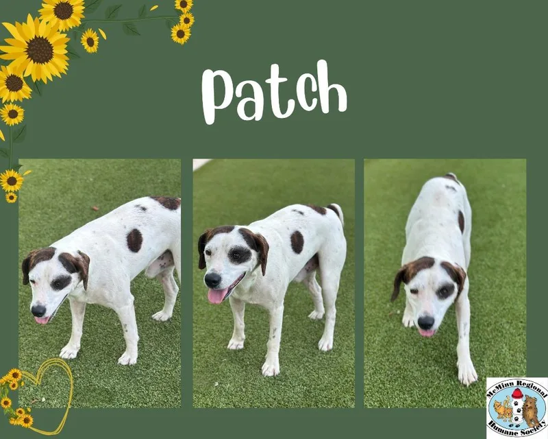 Patch thumbnail 2