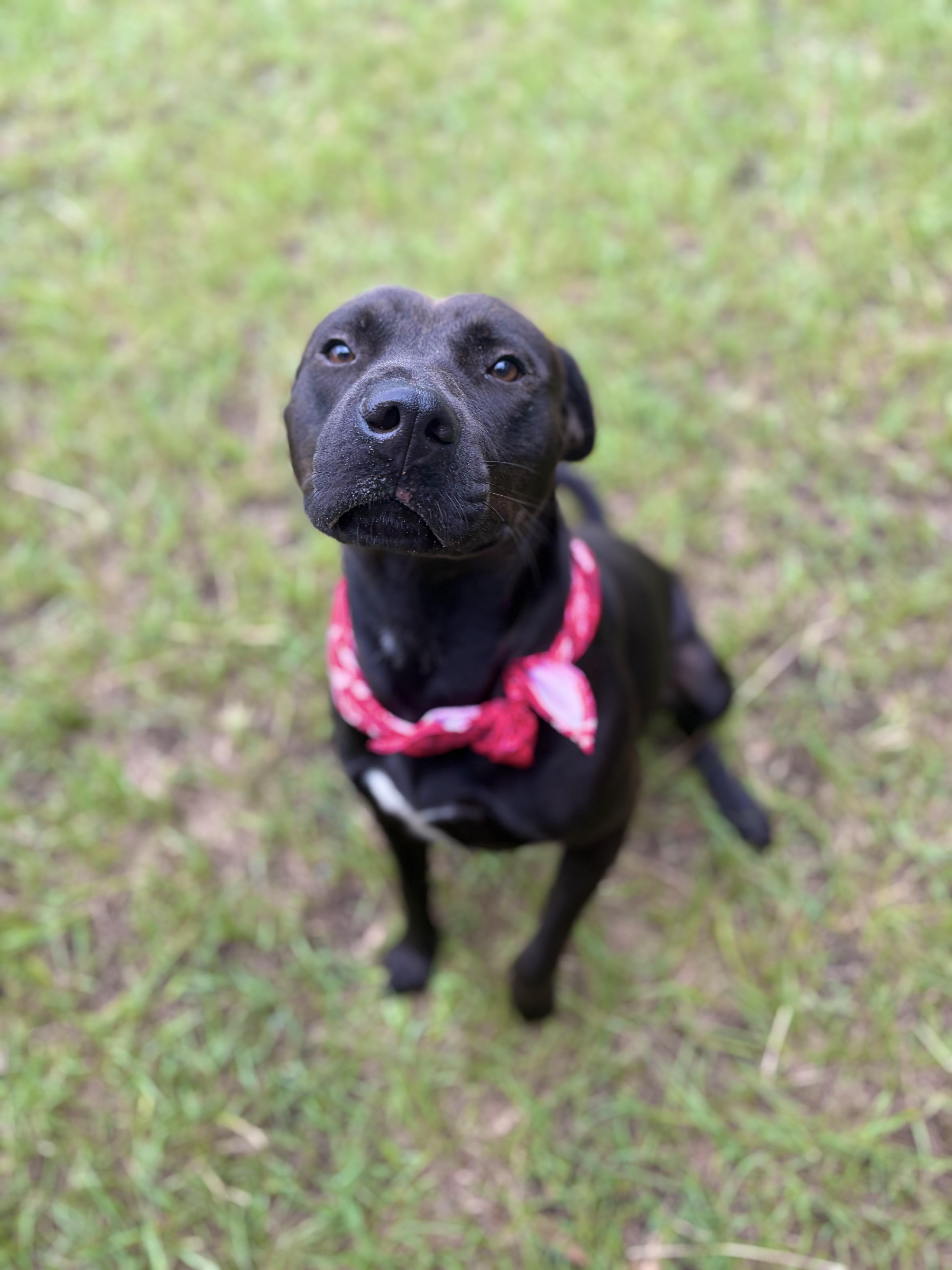 Diggie Smalls thumbnail 3