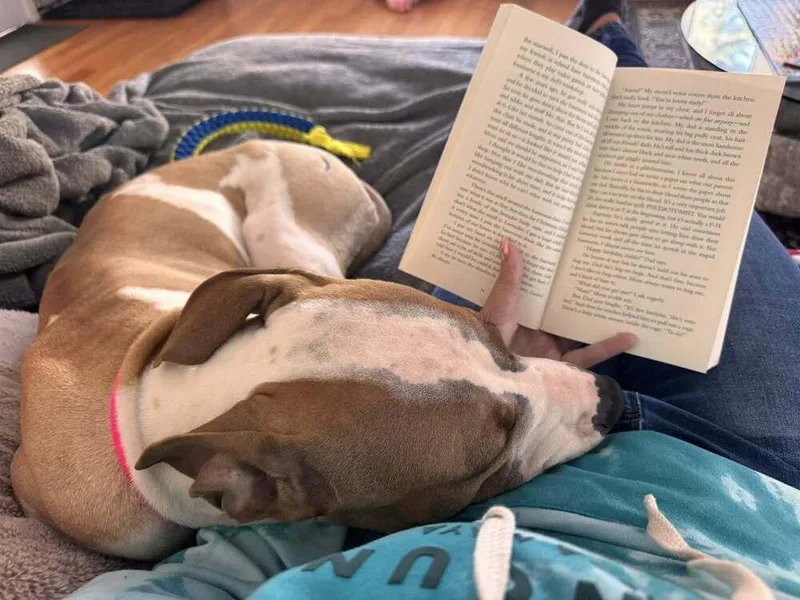 Wanda Joy thumbnail 3