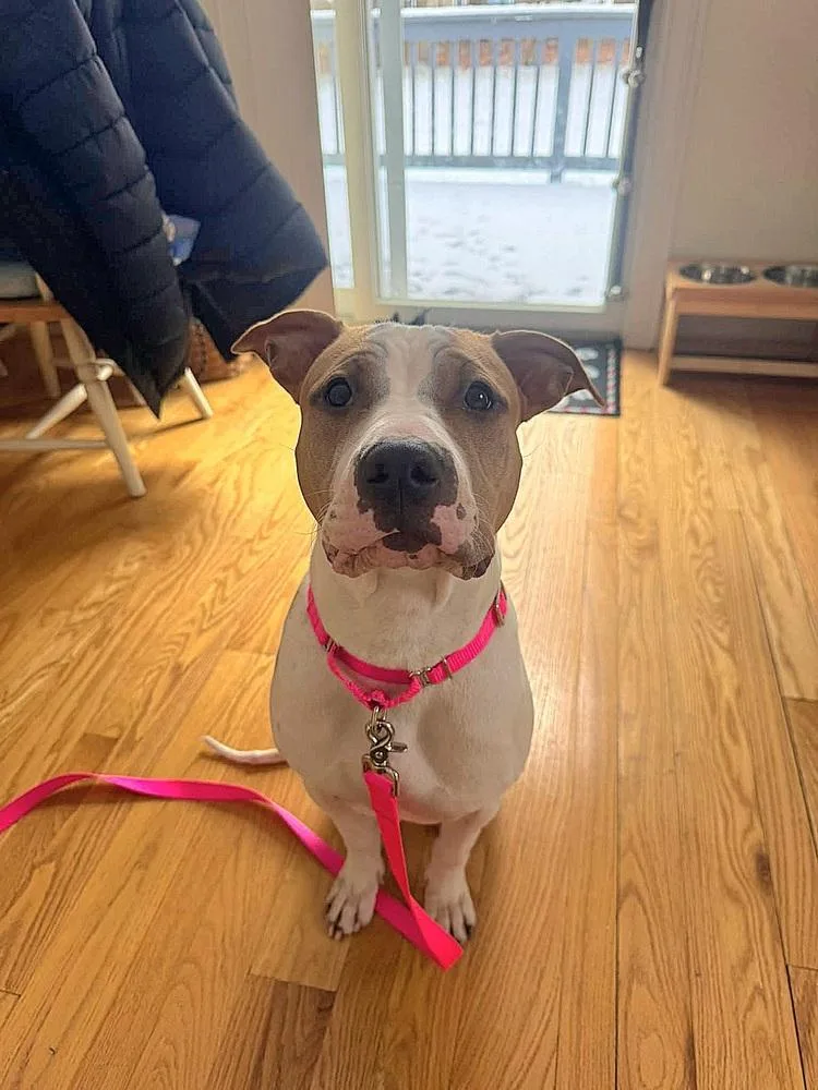 Wanda Joy thumbnail 4