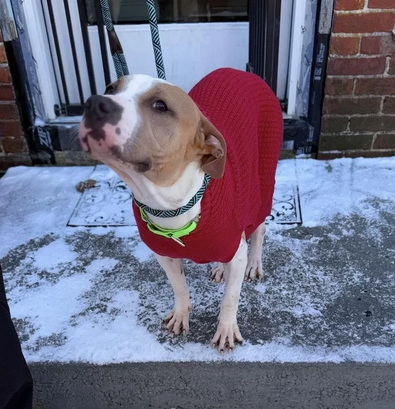 Wanda Joy thumbnail 5