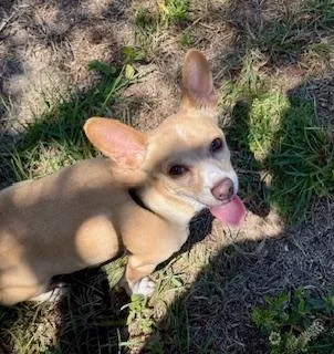 Lulu thumbnail 2