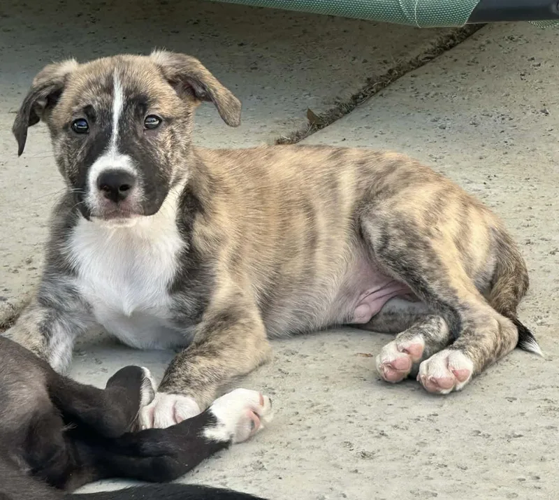 John Paul thumbnail 2