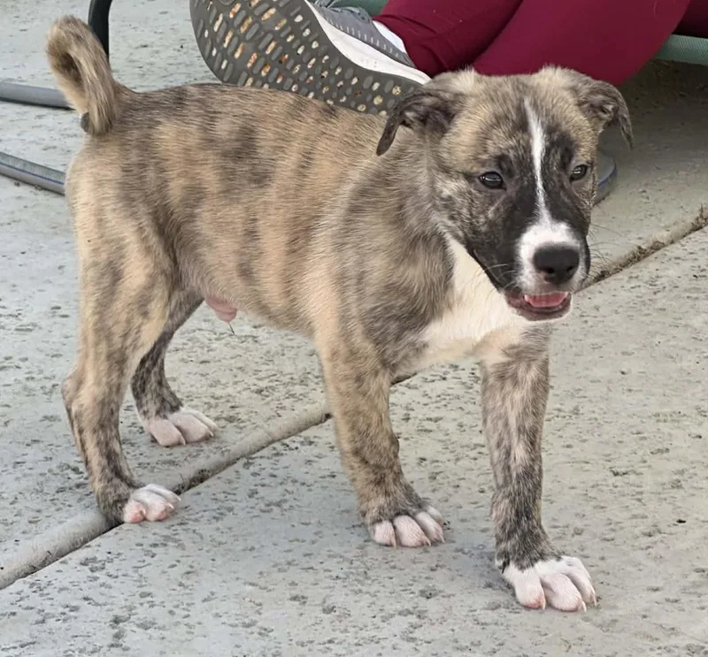 John Paul thumbnail 3