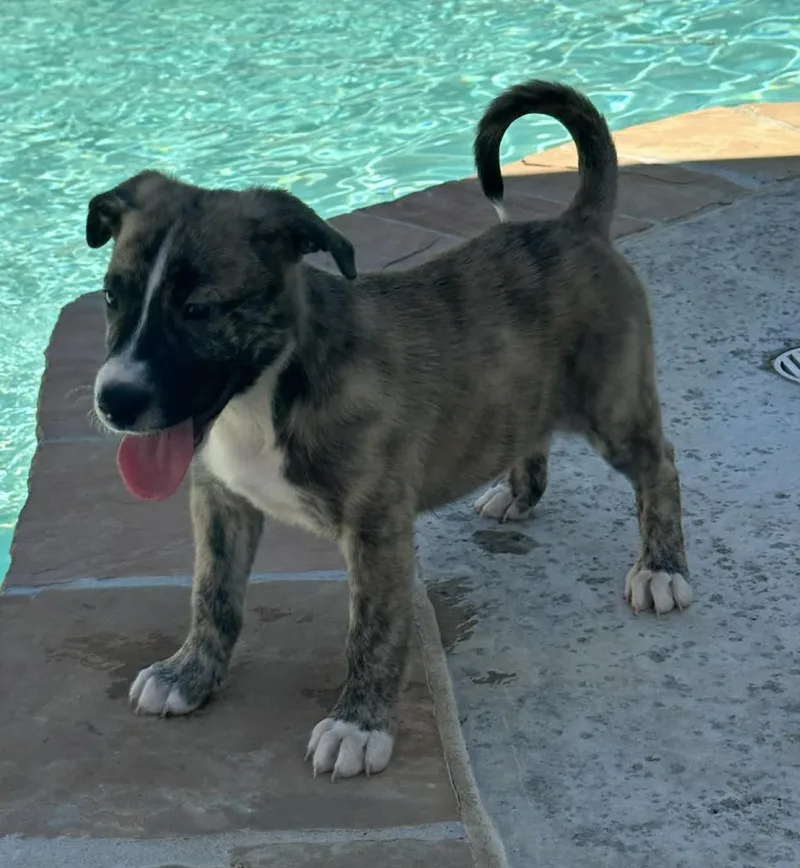 John Paul thumbnail 4