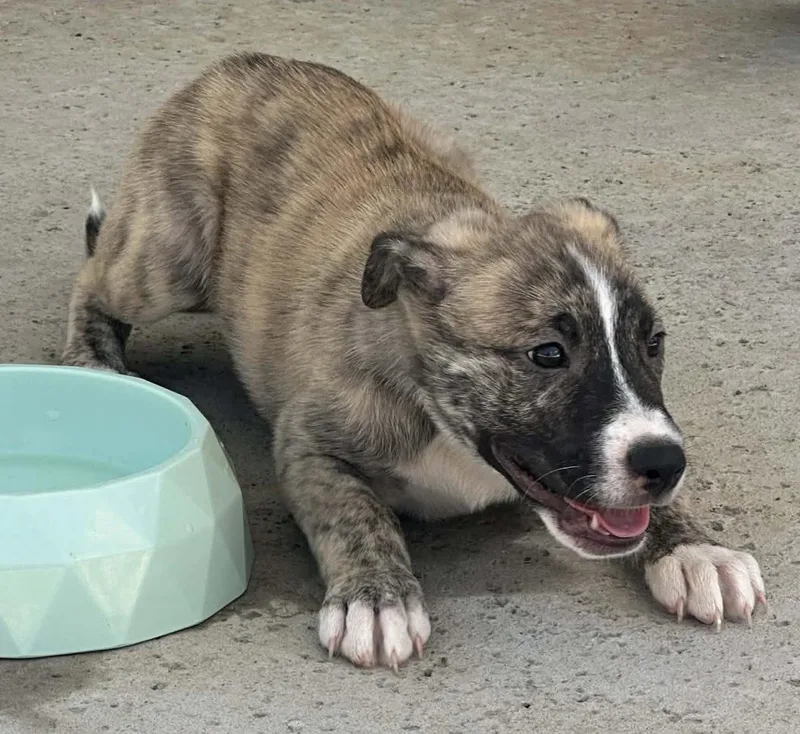 John Paul thumbnail 5