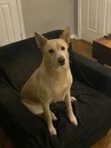 Freddie thumbnail 2