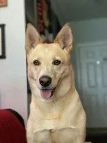 Freddie thumbnail 4