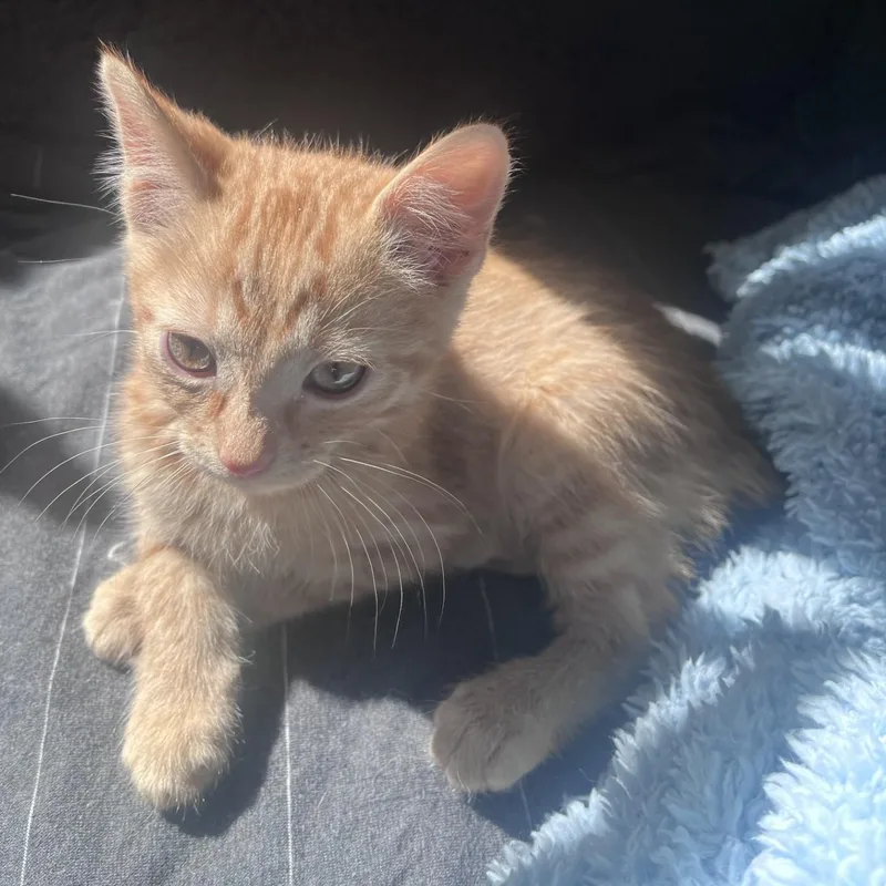 Toby Conrad thumbnail 2