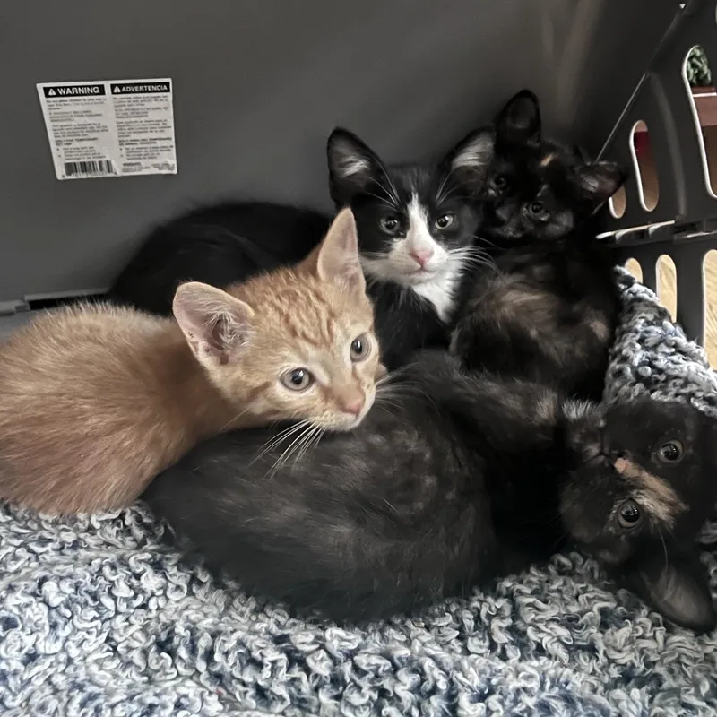 Toby Conrad thumbnail 5