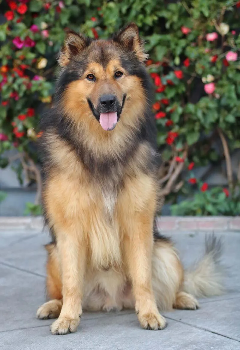 Noah Von Neuler thumbnail 2