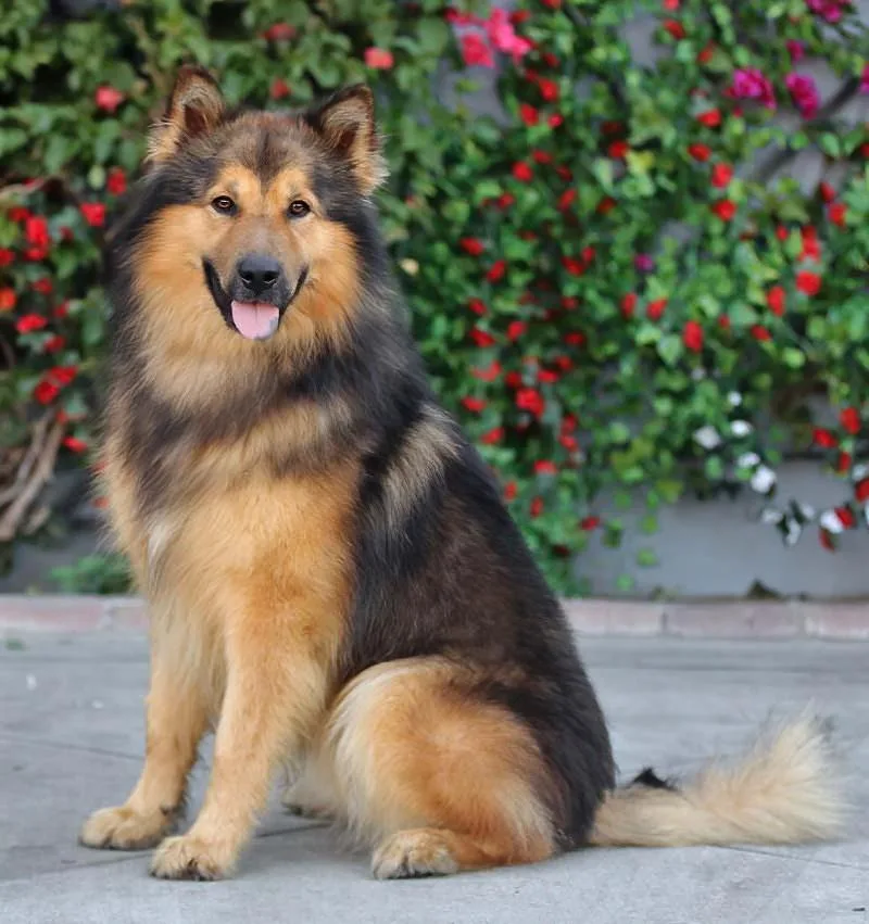 Noah Von Neuler thumbnail 3