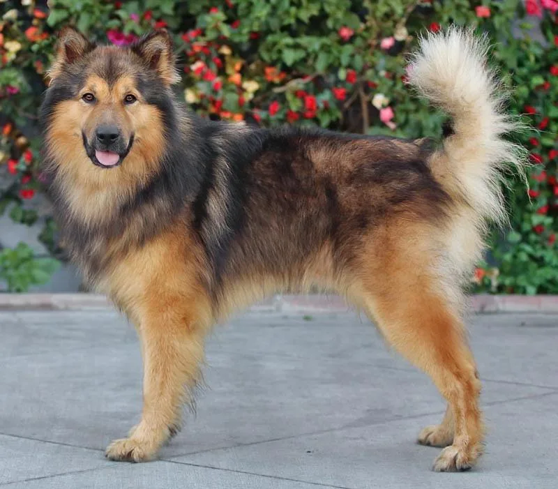 Noah Von Neuler thumbnail 4