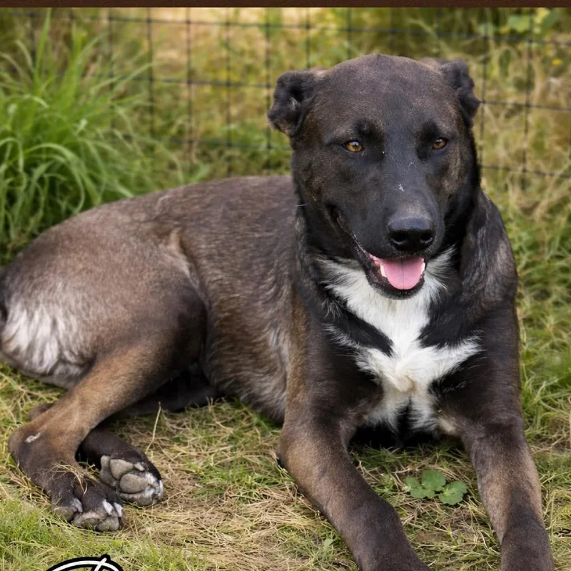 Barry B Benson thumbnail 2