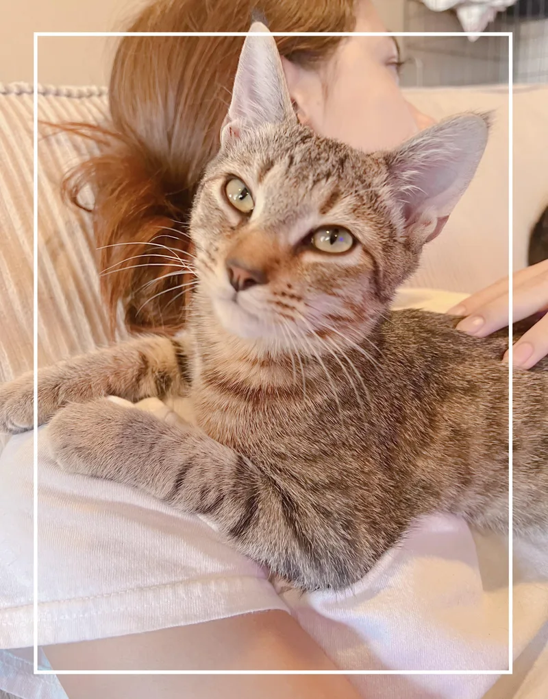 Frankie thumbnail 2
