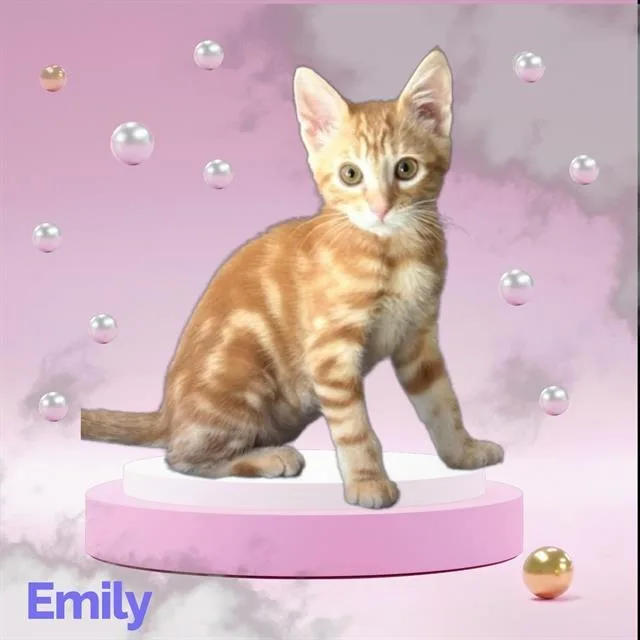 Emily