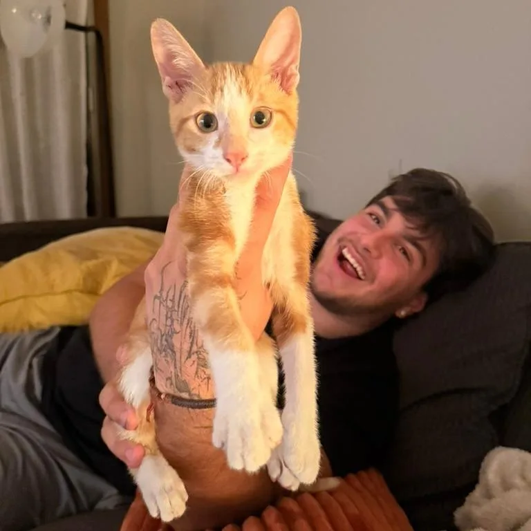 Pip thumbnail 6