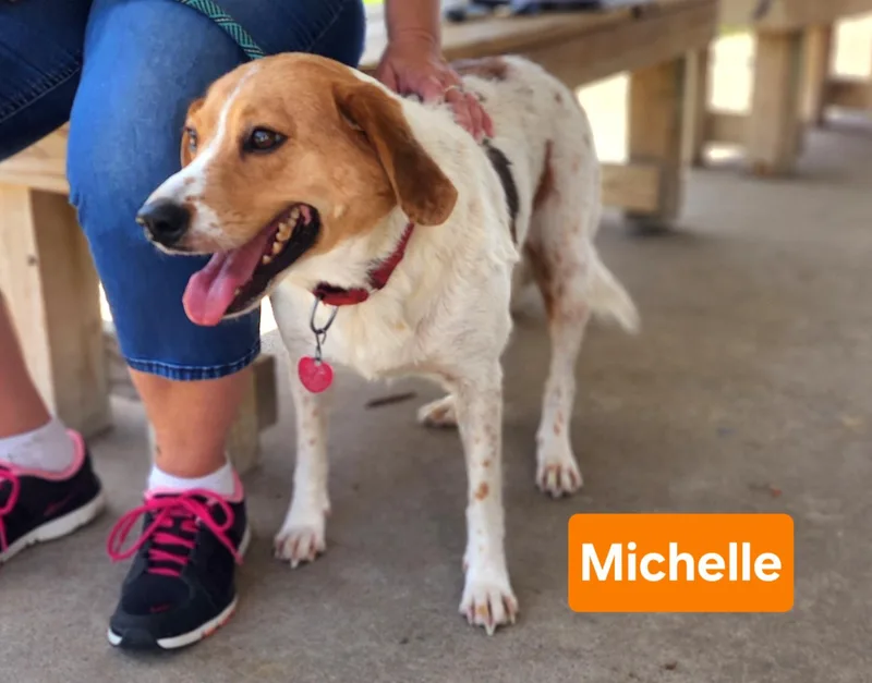 Michelle thumbnail 2