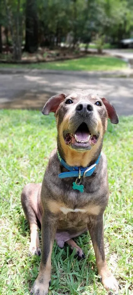 Zesty Zeke thumbnail 4