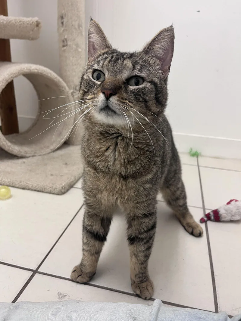 Stewart Rm thumbnail 2